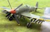 Hasegawa 1/48 Hawker Typhoon: Image