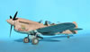 Hasegawa 1/32 P-40N Warhawk by Tolga Ulgur: Image