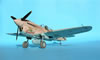 Hasegawa 1/32 P-40N Warhawk by Tolga Ulgur: Image