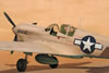 Hasegawa 1/32 P-40N Warhawk by Tolga Ulgur: Image