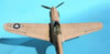 Hasegawa 1/32 P-40N Warhawk by Tolga Ulgur: Image