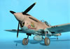 Hasegawa 1/32 P-40N Warhawk by Tolga Ulgur: Image