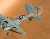 Hasegawa 1/32 P-40N Warhawk by Tolga Ulgur: Image