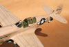 Hasegawa 1/32 P-40N Warhawk by Tolga Ulgur: Image