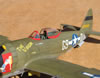 Hasegawa 1/32 P-47D-25 by Tolga Ulgur: Image