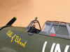 Trumpeter 1/32 P-47D-22 by Tolga Ulgur: Image