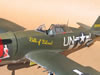 Trumpeter 1/32 P-47D-22 by Tolga Ulgur: Image