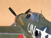 Trumpeter 1/32 P-47D-22 by Tolga Ulgur: Image