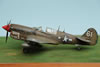 Hasegawa 1/48 P-40N Warhawk by Peter Kormos: Image