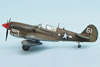 Hasegawa 1/48 P-40N Warhawk by Peter Kormos: Image