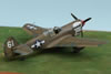 Hasegawa 1/48 P-40N Warhawk by Peter Kormos: Image