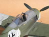 Hasegawa 1/32 Fw 190 F-8 by Tolga Ulgur: Image