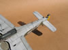 Hasegawa 1/32 Fw 190 F-8 by Tolga Ulgur: Image