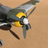 Hasegawa 1/32 Fw 190 F-8 by Tolga Ulgur: Image