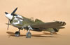 Hasegawa 1/32 P-40N-1 "Dikan Death" by Tolga Ulgur: Image