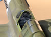 Hasegawa 1/32 P-40N-1 "Dikan Death" by Tolga Ulgur: Image