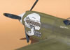 Hasegawa 1/32 P-40N-1 "Dikan Death" by Tolga Ulgur: Image