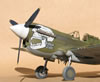 Hasegawa 1/32 P-40N-1 "Dikan Death" by Tolga Ulgur: Image