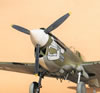 Hasegawa 1/32 P-40N-1 "Dikan Death" by Tolga Ulgur: Image