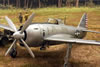 Hasegawa's 1/48 scale Kawanishi N1K1-J Shiden "George" by Roland Sachsenhofer: Image