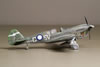 Special Hobby 1/72 P-40N by Vince Mokry: Image