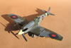 Hasegawa / Paragon 1/32 Supermarine Spitfire Mk.XII by Tolga Ulgur: Image