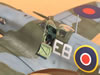 Hasegawa / Paragon 1/32 Supermarine Spitfire Mk.XII by Tolga Ulgur: Image