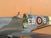 Hasegawa / Paragon 1/32 Supermarine Spitfire Mk.XII by Tolga Ulgur: Image