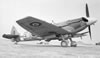 Hasegawa / Paragon 1/32 Supermarine Spitfire Mk.XII by Tolga Ulgur: Image