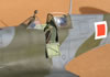 Tamiya 1/32 Spitfire Mk.IXe by Tolga Ulgur: Image