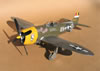 Hasegawa 1/32 P-47D-28 "Frigid Midgit" by Tolga Ulgur: Image