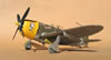 Hasegawa 1/32 P-47D-28 "Frigid Midgit" by Tolga Ulgur: Image