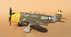 Hasegawa 1/32 P-47D-28 "Frigid Midgit" by Tolga Ulgur: Image