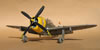 Hasegawa 1/32 P-47D-28 "Frigid Midgit" by Tolga Ulgur: Image