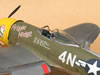 Hasegawa 1/32 P-47D-28 "Frigid Midgit" by Tolga Ulgur: Image