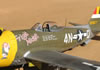 Hasegawa 1/32 P-47D-28 "Frigid Midgit" by Tolga Ulgur: Image