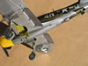 Hasegawa 1/32 P-47D-28 "Frigid Midgit" by Tolga Ulgur: Image