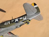 Hasegawa 1/32 P-47D-28 "Frigid Midgit" by Tolga Ulgur: Image