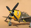 Hasegawa 1/32 P-47D-28 "Frigid Midgit" by Tolga Ulgur: Image