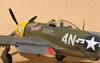 Hasegawa 1/32 P-47D-28 "Frigid Midgit" by Tolga Ulgur: Image