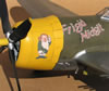 Hasegawa 1/32 P-47D-28 "Frigid Midgit" by Tolga Ulgur: Image