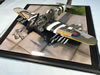 Airfix 1/24 scale Hawker Typhoon Mk.Ib by Ian Wilson: Image