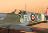 Hasegawa 1/32 Spitfire Va by Tolga Ulgur: Image