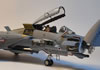 Hasegawa 1/72 Grumman F-14D Tomcat by Goran Djordjevic: Image