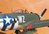 Hasegawa 1/32 P-47D-28 "Eileen" by Tolga Ulgur: Image