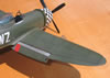 Hasegawa 1/32 P-47D-28 "Eileen" by Tolga Ulgur: Image