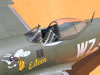 Hasegawa 1/32 P-47D-28 "Eileen" by Tolga Ulgur: Image