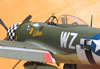 Hasegawa 1/32 P-47D-28 "Eileen" by Tolga Ulgur: Image