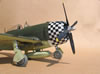 Hasegawa 1/32 P-47D-28 "Eileen" by Tolga Ulgur: Image