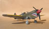 PCM 1/32 Kittyhawk Mk.III by Tolga Ulgur: Image